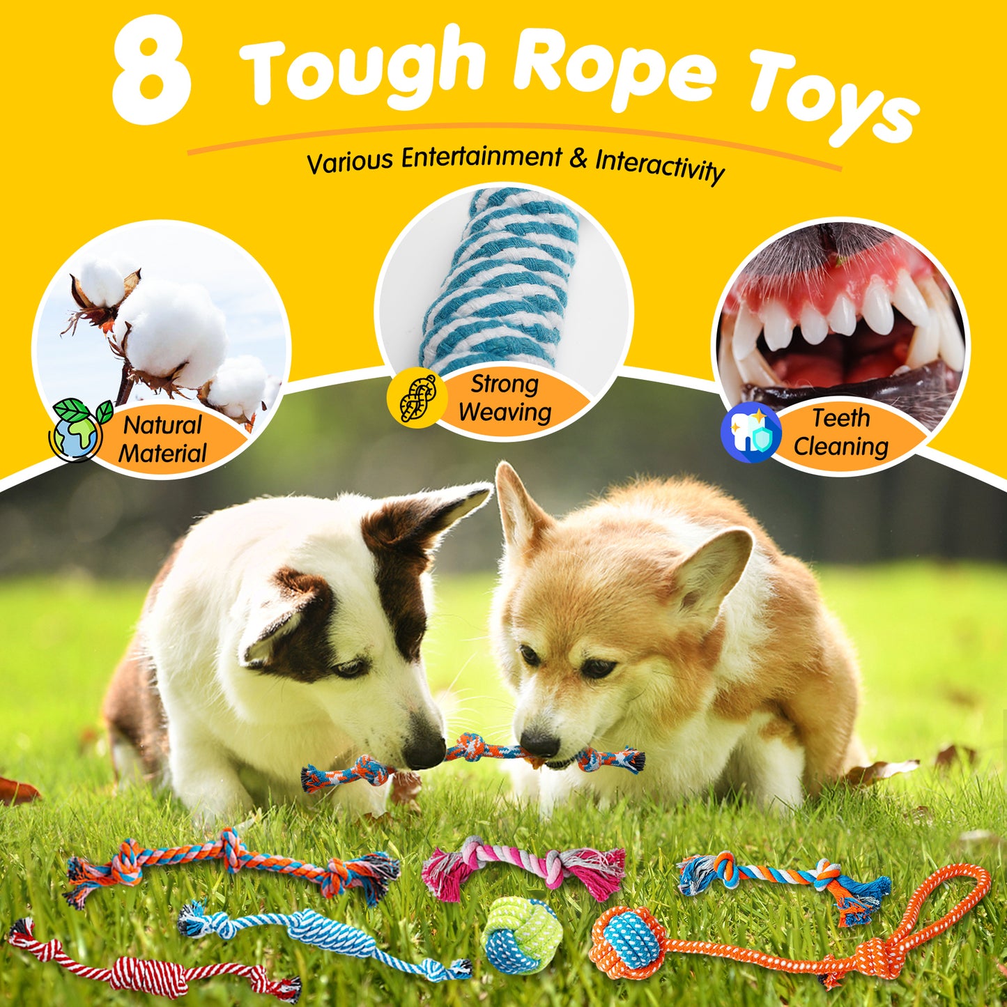 Zeaxuie 25 Pack Puppy Chew Toys Set for Small Dogs