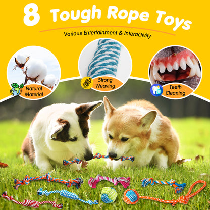 Zeaxuie 25 Pack Puppy Chew Toys Set for Small Dogs