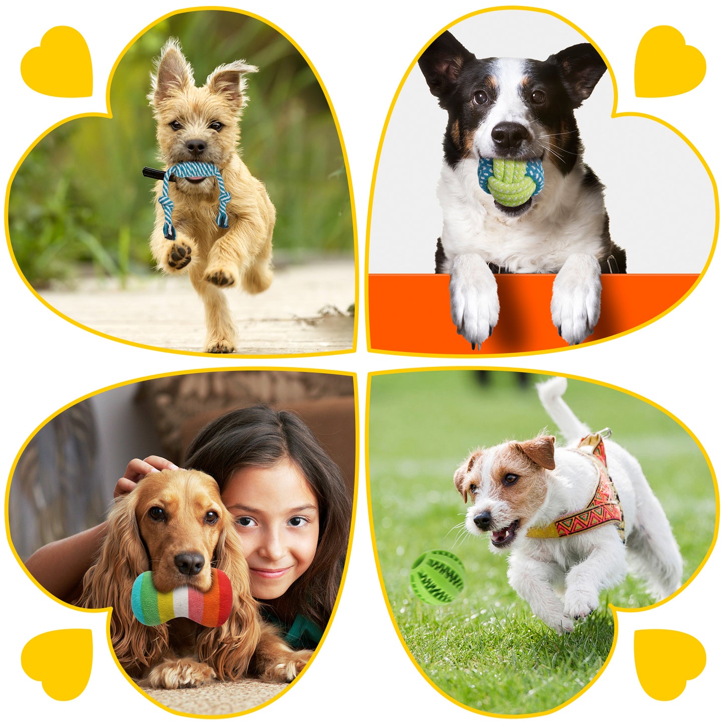 Zeaxuie 25 Pack Puppy Chew Toys Set for Small Dogs