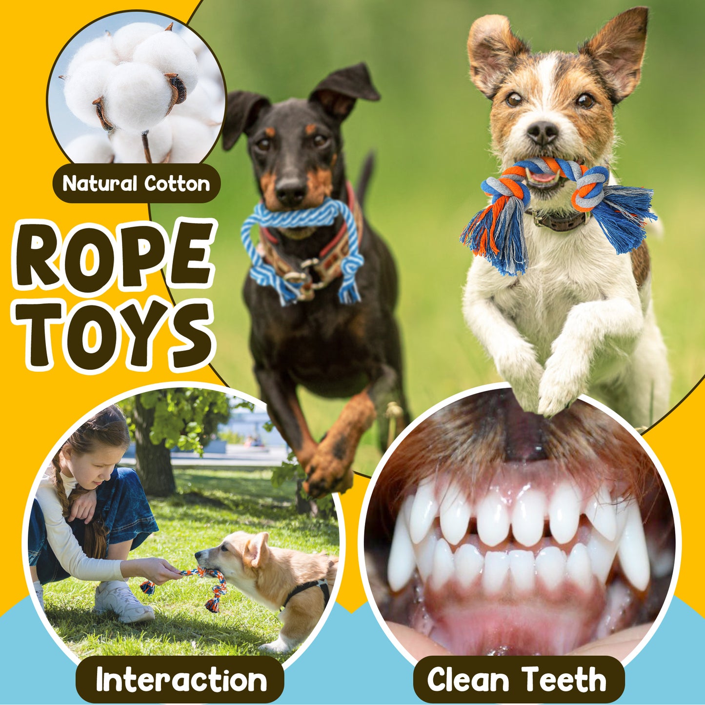 Zeaxuie 9 Pack Puppy Chew Toys Set for Small Dogs